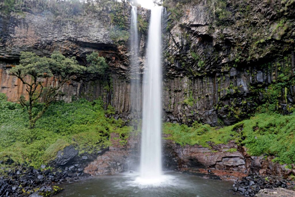 Aberdares National Park